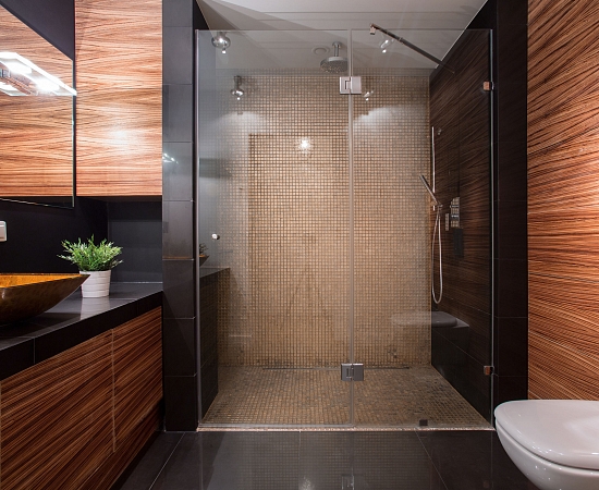 Modern Bathroom Remodel and Renovation burbank Services